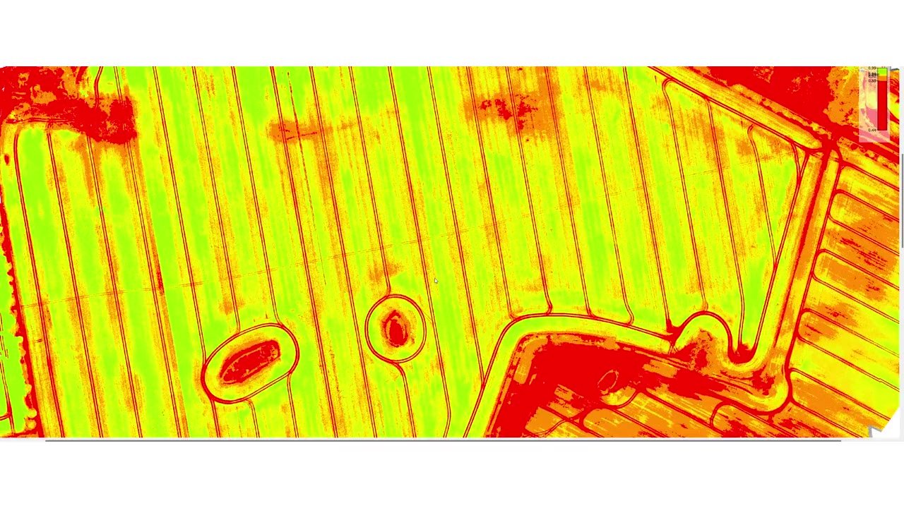 Ortomosaico multiespectral NDVI procesado